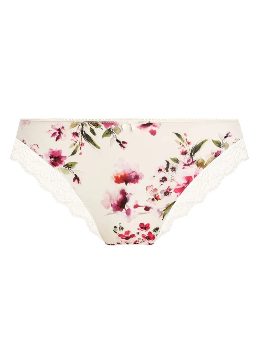 Lucia Brief