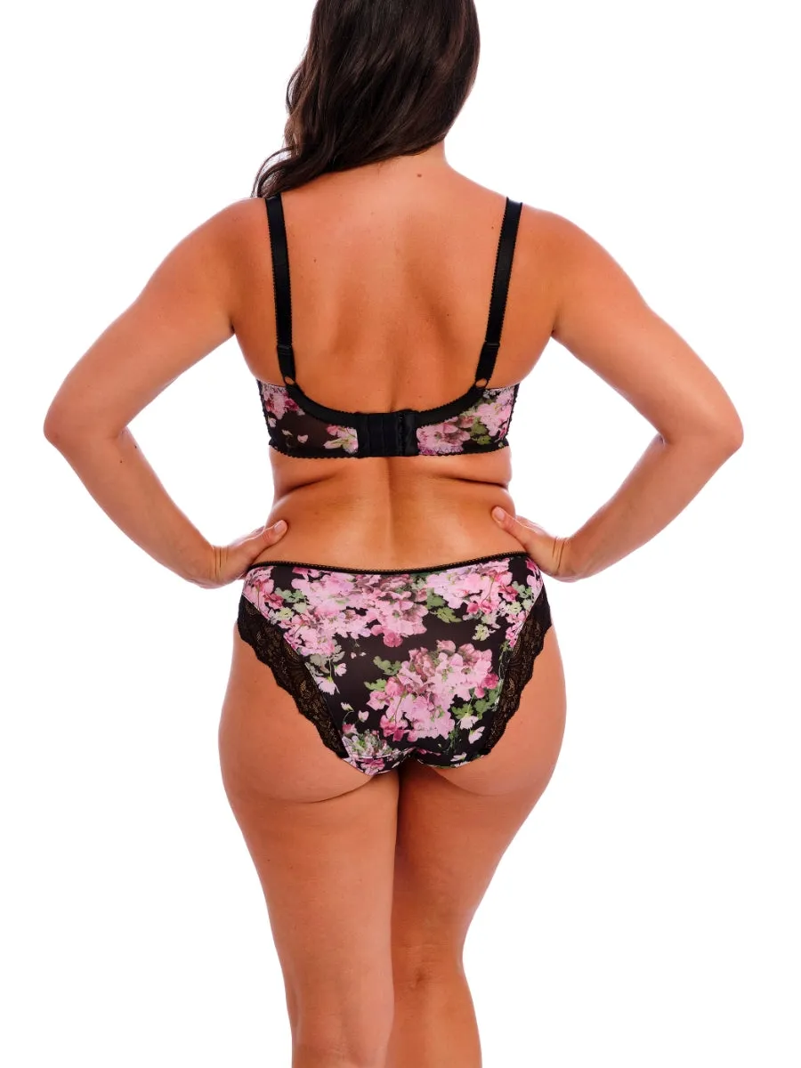 Lucia Brief