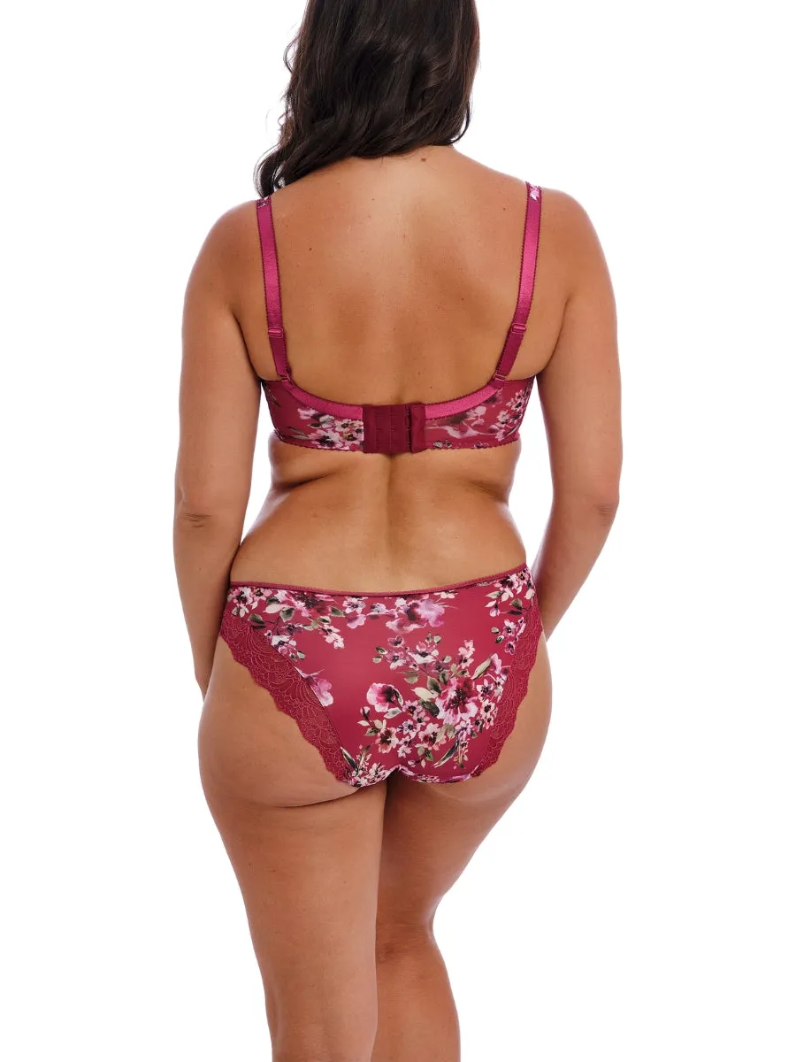 Lucia Brief
