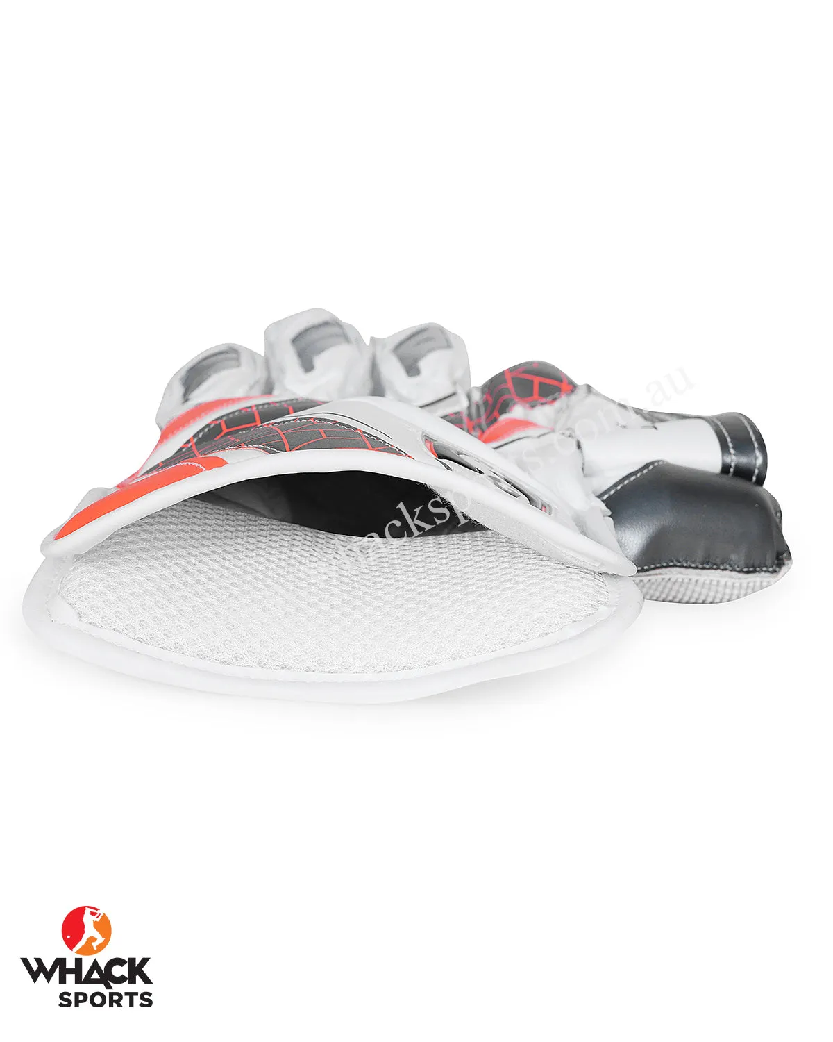 SG Tournament Cricket Keeping Gloves - Adult